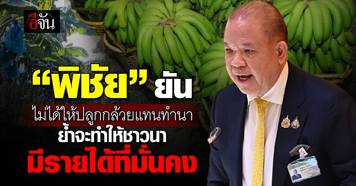 “พิชัย” แจงชัด ไม่ได้เปลี่ยนให้ปลูกกล้วยแทนทำนา