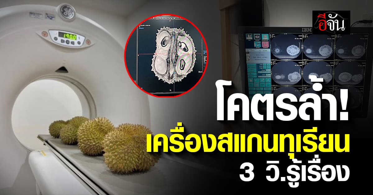 มิติใหม่โลกทุเรียน เครื่องสแกนทุเรียน ตรวจก่อนขาย ไม่อ่อน-ไม่หนอน แม่น 95%