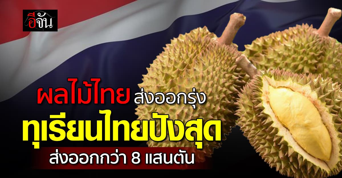 “ทุเรียน” ครองแชมป์ผลไม้ไทย สร้างมูลค่ากว่า 1.3 แสนล้าน