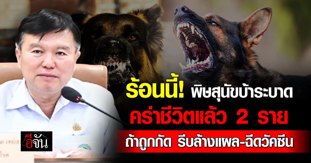 ระวังหน้าร้อนนี้! พิษสุนัขบ้าระบาดหนัก คร่าชีวิตแล้ว 2 ราย แนะถูกกัด-ข่วน รีบล้างแผล-ฉีดวัคซีน 