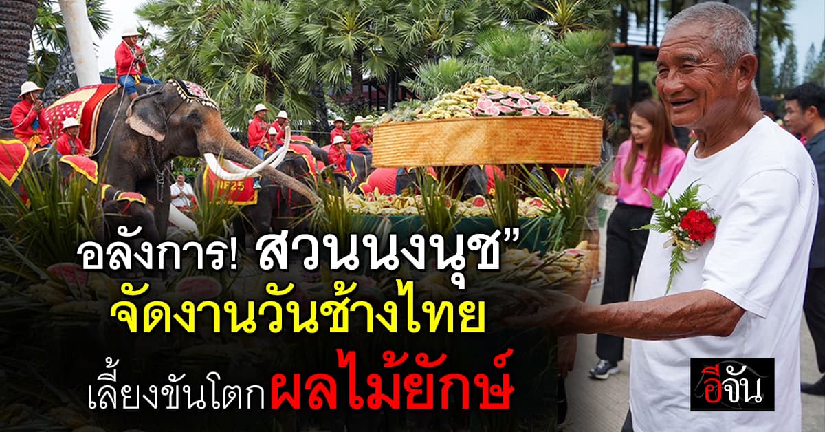อลังการ! สวนนงนุชพัทยา จัดงานวันช้างไทย พร้อมเลี้ยงขันโตกผลไม้ยักษ์สูง 3 เมตร
