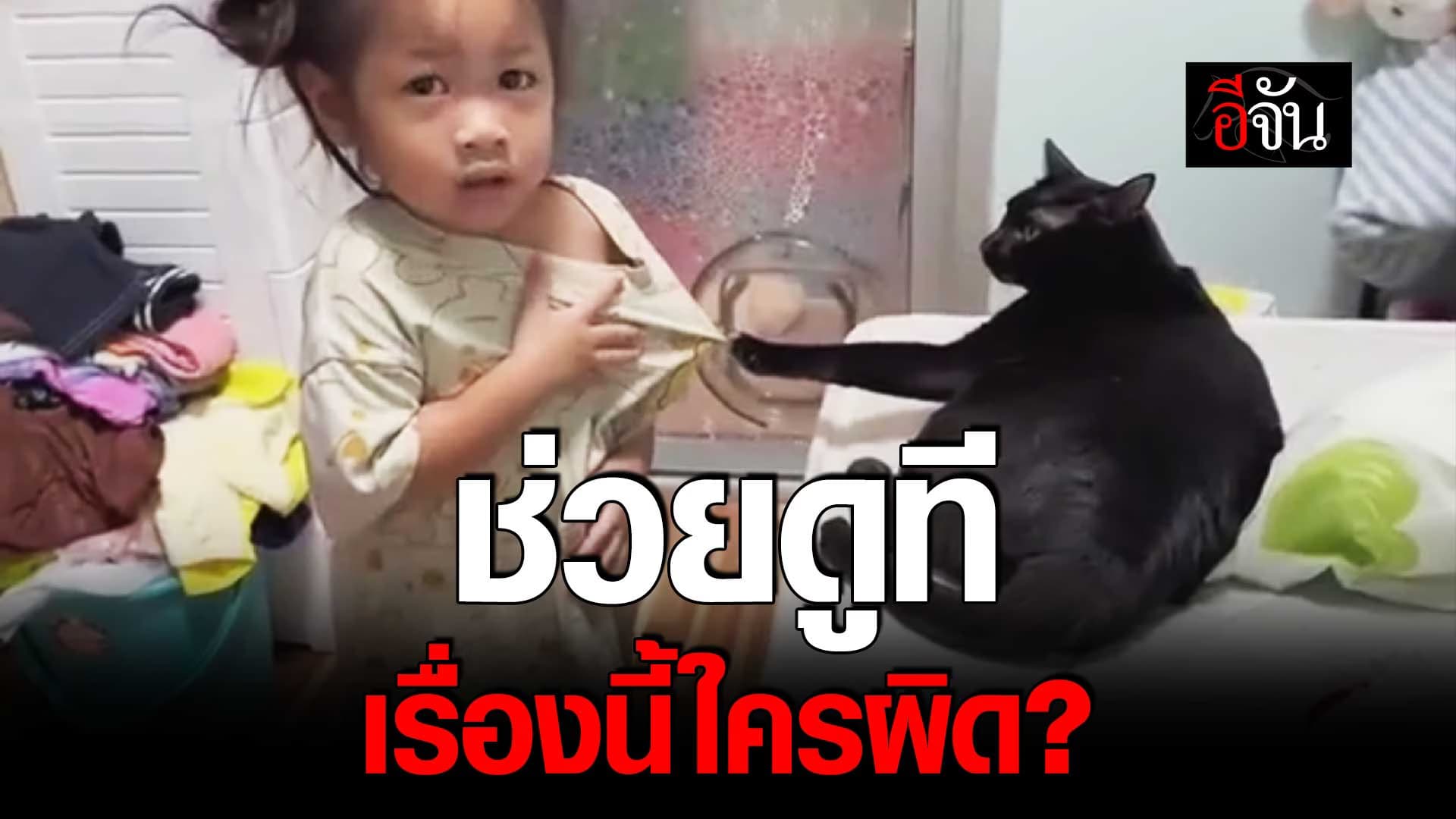 🎬 เรื่องวุ่นๆ ระหว่างเด็กน้อยกับแมว