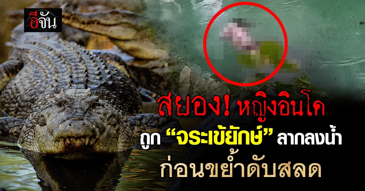 สยอง! หญิงอินโดฯ ถูกจระเข้ยักษ์ลากลงน้ำ ก่อนขย้ำดับสลด
