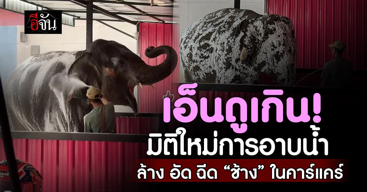 สุดเอ็นดู! ควาญพาช้างมาอาบน้ำ ทั้ง ล้าง-อัด-ฉีด ที่คาร์แคร์ ทำชาวเน็ตแห่แซวเพียบ  