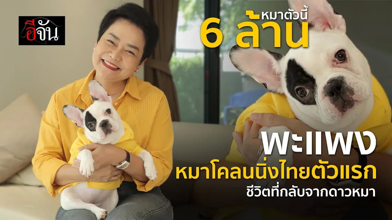 🎬 พะแพง หมาโคลนนิ่งไทยตัวแรก ชีวิตที่กลับจากดาวหมา