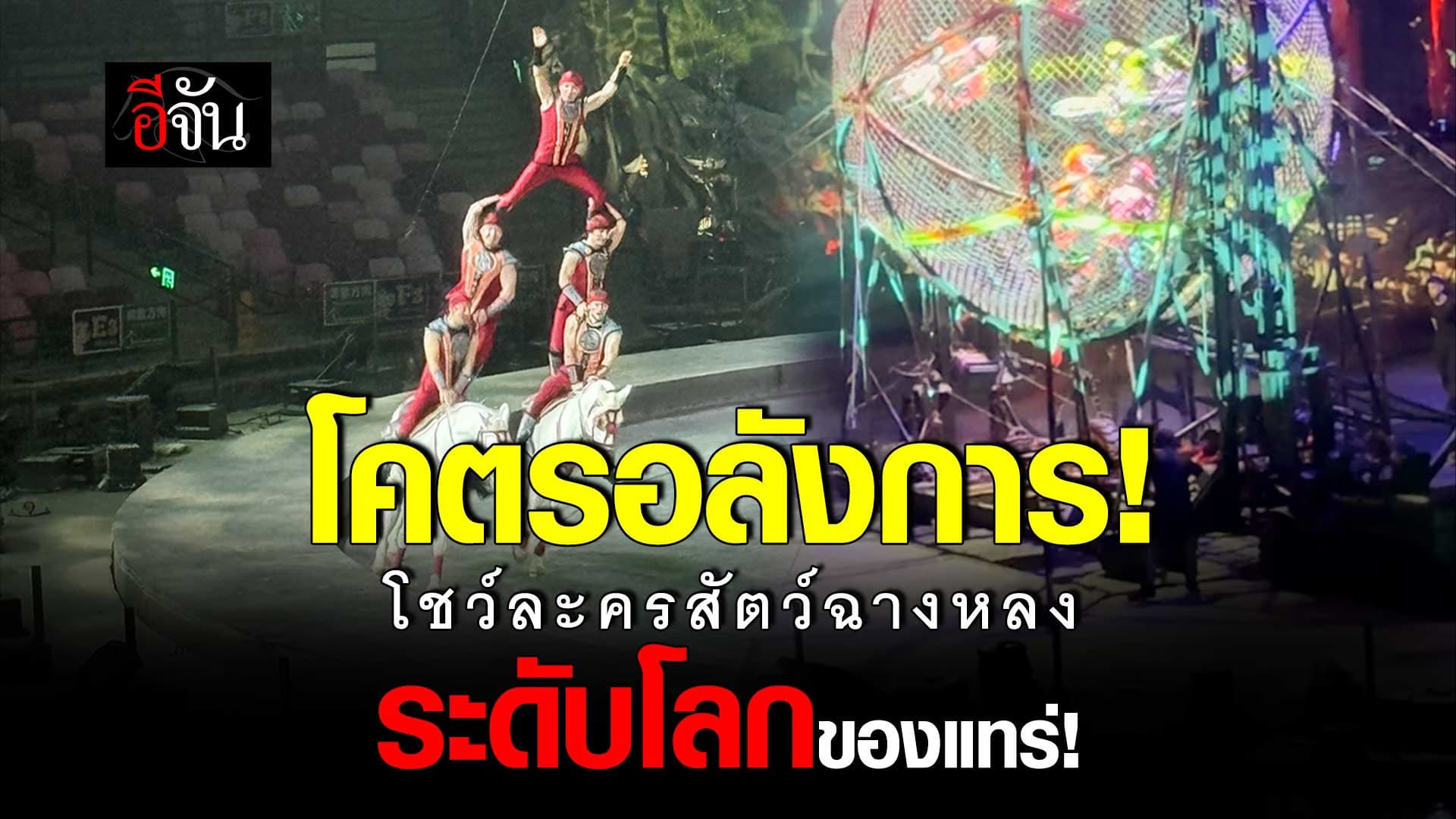 🎬 โชว์ละครสัตว์ฉางหลง ระดับโลกของแทร่!