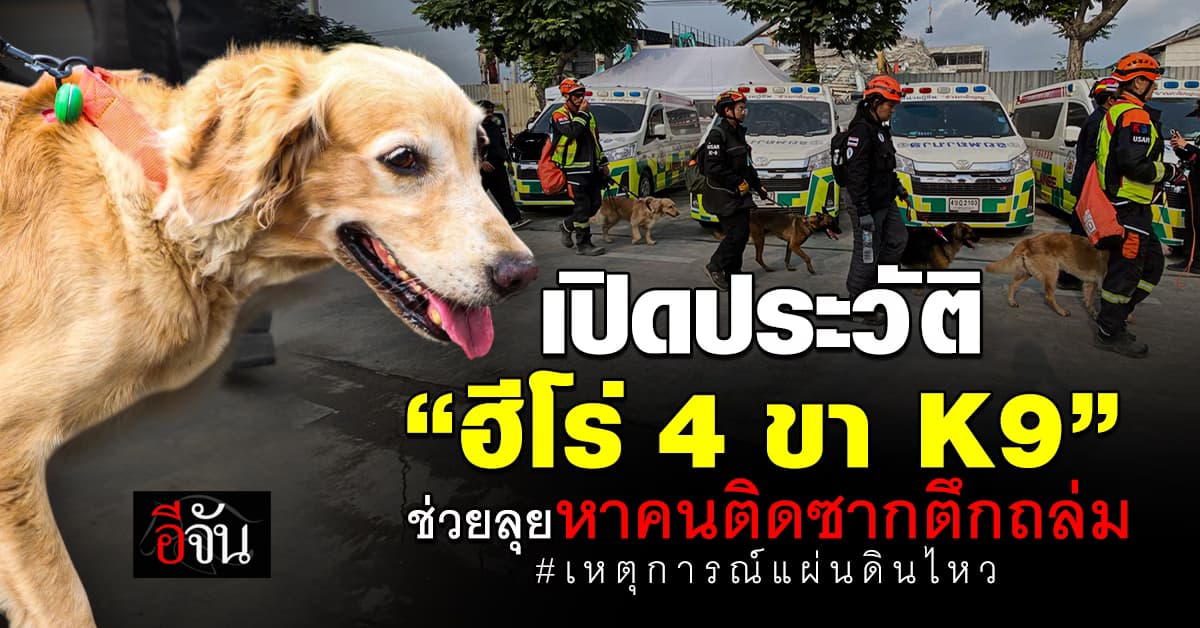  รู้จัก“4 สาวเเห่งทีม K9” ช่วยหาคนติดซากตึกถล่ม จากแผ่นดินไหวครั้งใหญ่ของไทย 