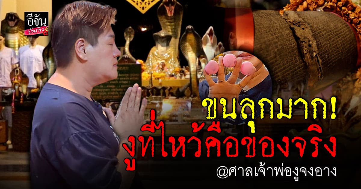 เปิดตำนาน ศาลเจ้าพ่องูจงอาง พระราม 2 ศักดิ์สิทธิ์ลี้ลับ