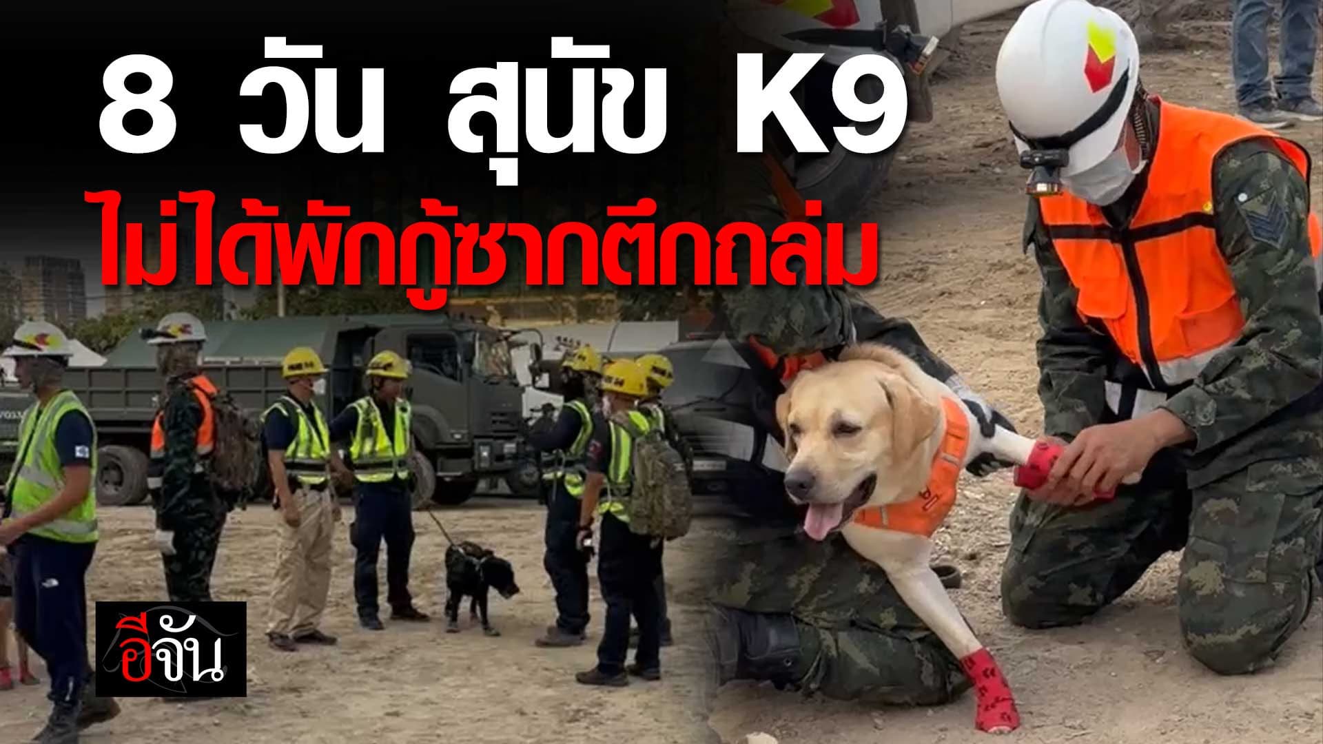 🎬 8 วัน น้องๆ สุนัข K9 ยังไม่ได้พัก กู้ซาก ตึกถล่ม
