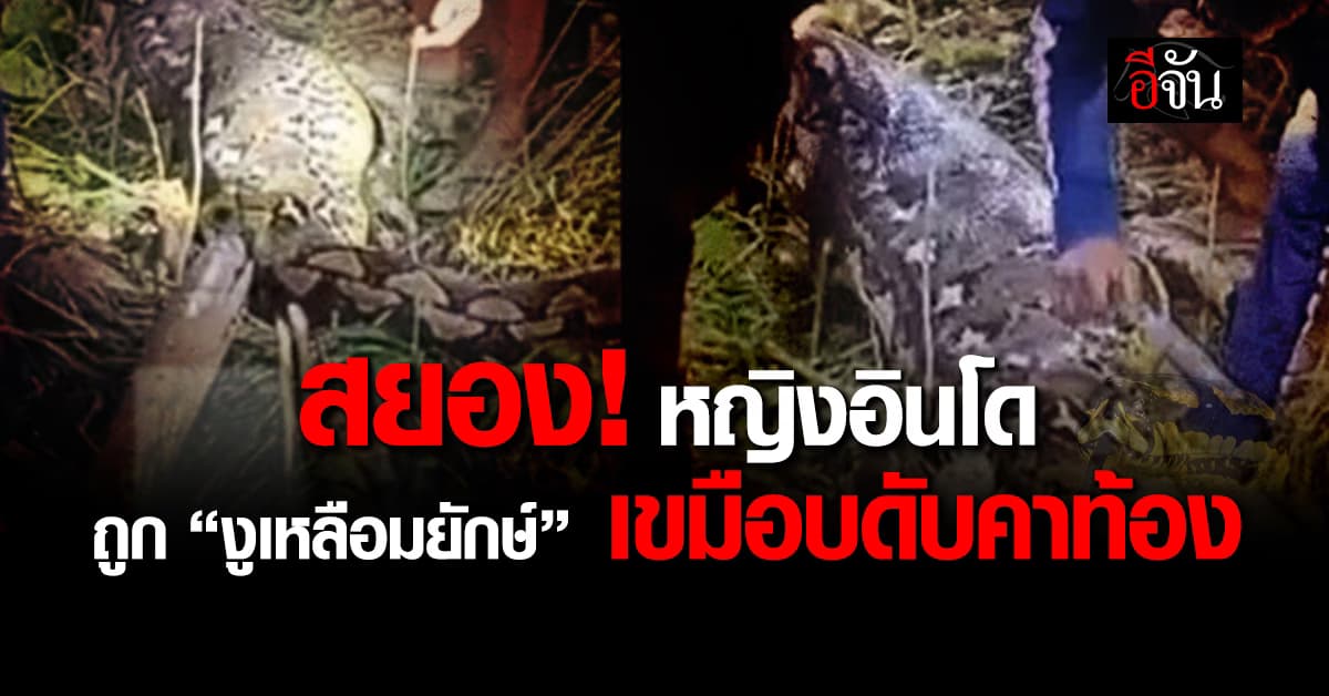 สยอง! หญิงอินโดฯ ถูก “งูเหลือมยักษ์” เขมือบดับคาท้อง