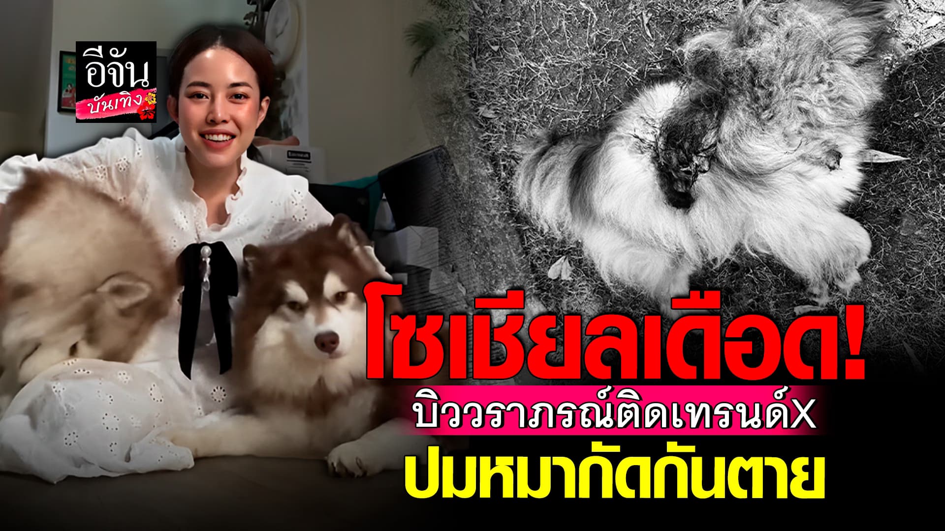 🎬คลิปบันเทิง : บิว วราภรณ์ ขอปกป้องครอบครัว ท้าคู่กรณี เปิดคลิปเสียง