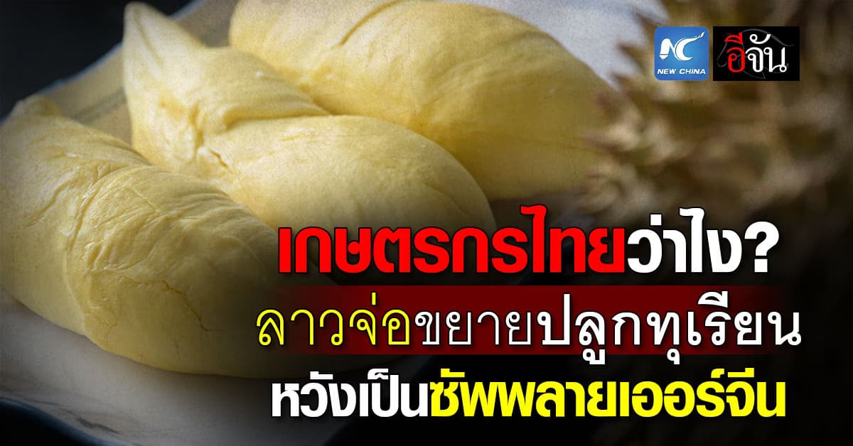 เกษตรกรไทยว่าไง? ลาวจ่อขยายปลูกทุเรียน หวังเป็นซัพพลายเออร์จีน 