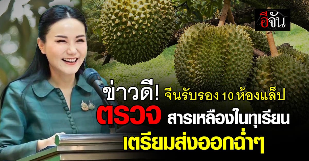ข่าวดี จีน รับรองห้องแล็ป ตรวจสารเหลืองในทุเรียน 10 แล็ปในไทย