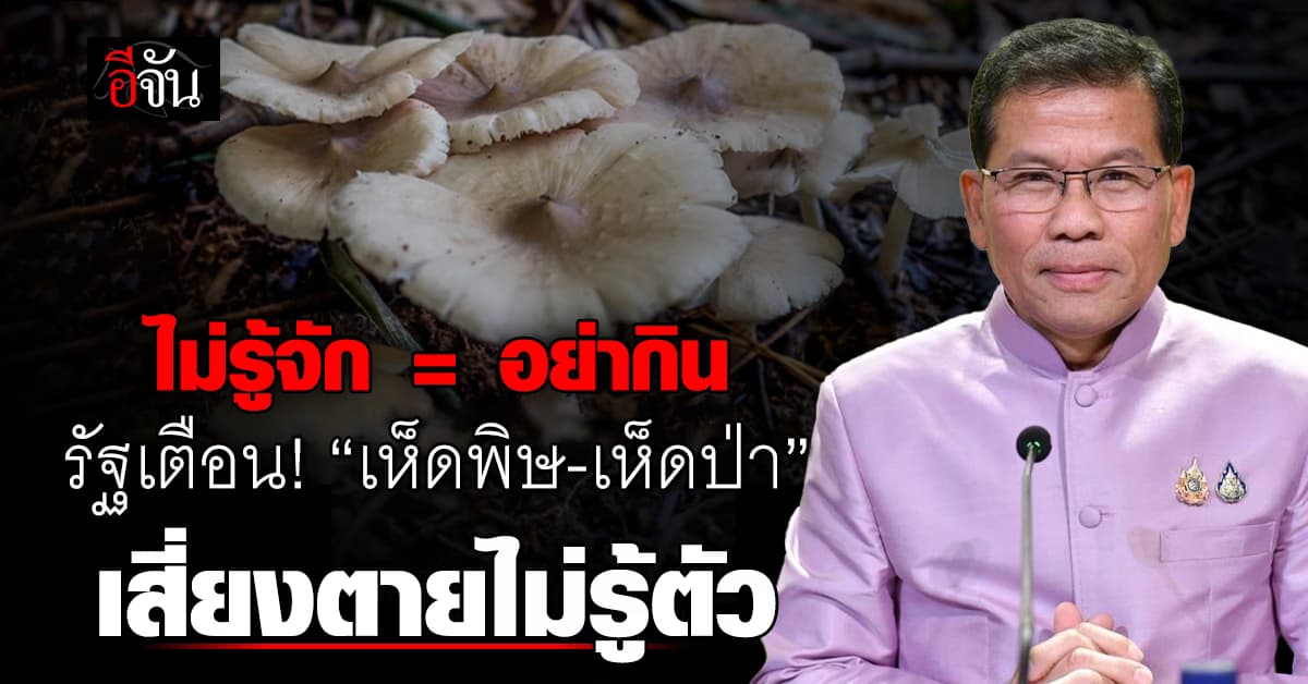 ระวัง! กิน “เห็ดพิษ-เห็ดป่า” เสี่ยงตายไม่รู้ตัว – แนะ “ไม่รู้จัก ไม่เก็บ ไม่กิน” 