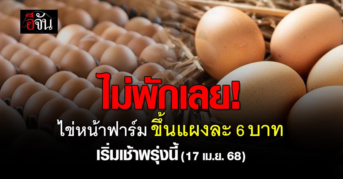 เริ่มพรุ่งนี้! (17 เม.ย. 68) ไข่ไก่หน้าฟาร์ม ขึ้นราคา 6 บาทต่อแผง