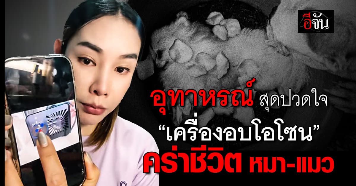 อุทาหรณ์เตือนภัย ทาสหมา-แมว ใช้เครื่องอบโอโซน ถึงขั้นคร่าชีวิตสัตว์เลี้ยง