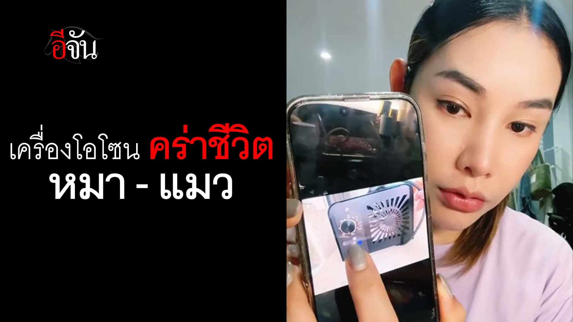 🎬 เตือนภัย ทาสหมา – แมว ใช้เครื่องโอโซนในบ้าน