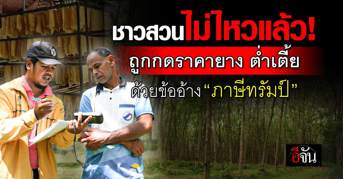 ชาวสวนยางรวมตัว ยื่นหนังสือ ก.เกษตร วอนแก้ปัญหาราคายางต่ำ