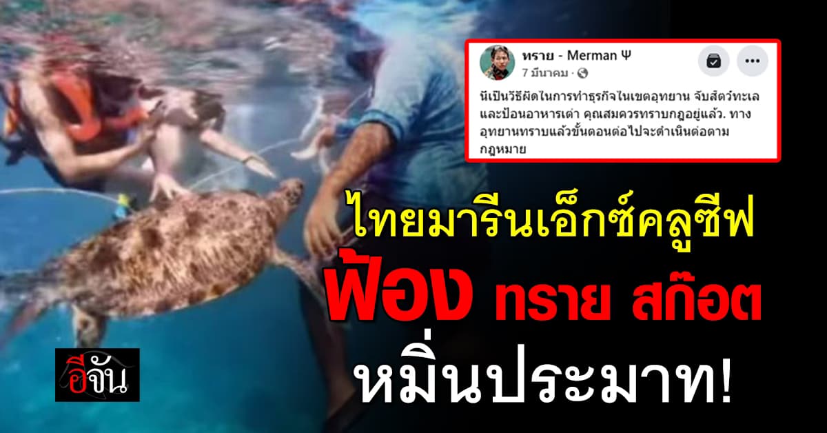 ไทยมารีนเอ็กซ์คลูซีฟ ฟ้อง ทราย สก๊อต! ลงคลิปให้อาหารเต่าติดรูปเรือ ทำกระทบบริษัท