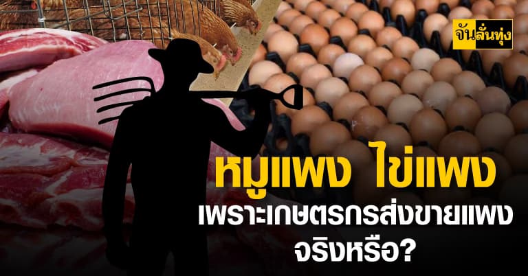 เนื้อหมู ไข่ไก่ ราคาสูงขึ้น เพราะเกษตรกรจริงหรือไม่?