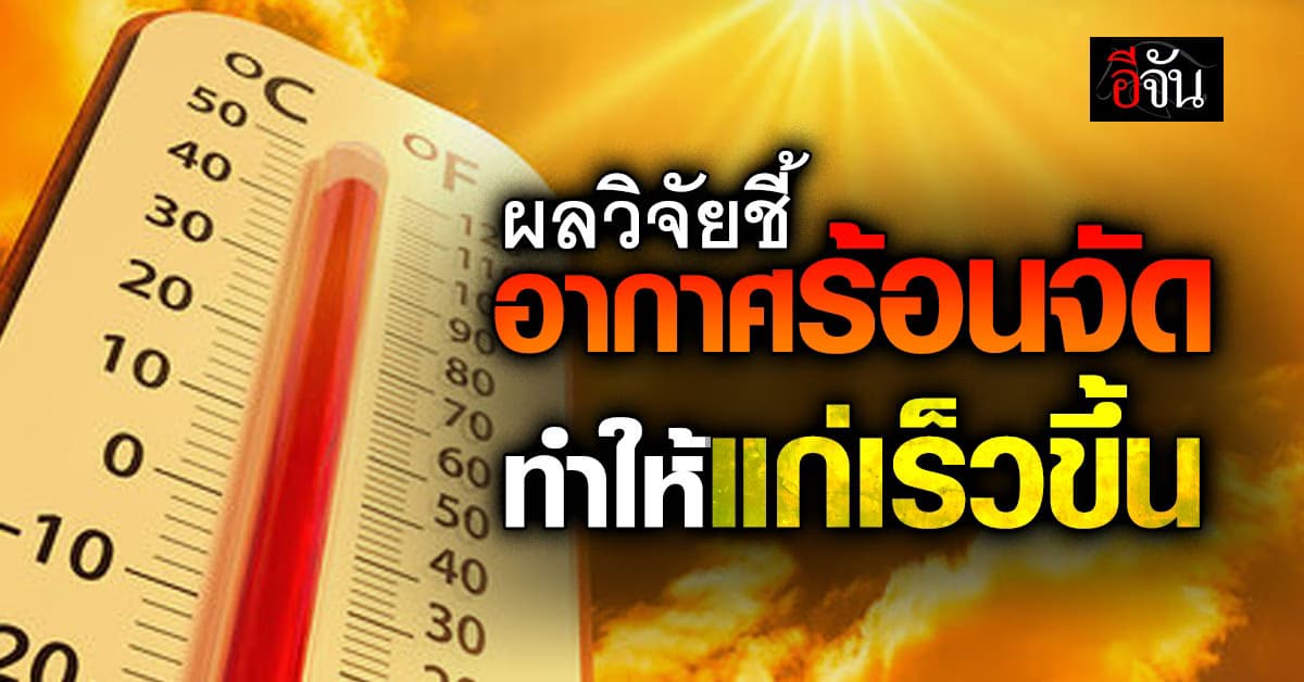 หลบแดดให้ไว้! ผลวิจัยชี้ “อากาศร้อนจัด” ทำให้แก่เร็วขึ้น 2.5 ปี