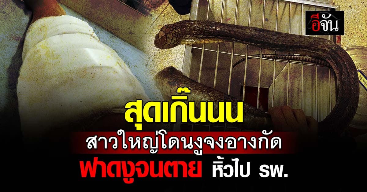 สุดเกิ๊นนน สาวใหญ่โดนงูจงอางกัด จับงูฟาดจนตายแล้วหิ้วไป รพ. 