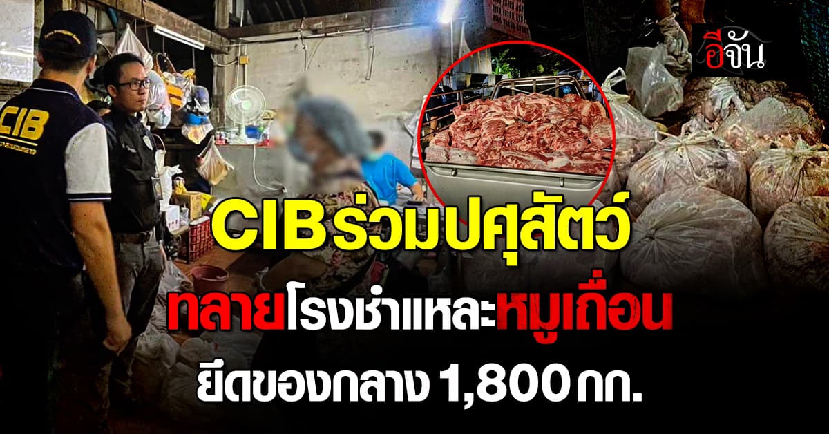 CIB ร่วมปศุสัตว์ ทลายโรงชำแหละหมูเถื่อน ยึดของกลาง 1,800 กก.