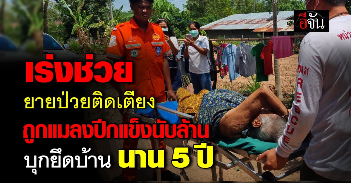 มันมาอีกแล้ว! จนท.เร่งช่วยยายป่วยติดเตียง ถูกแมลงปีกแข็งนับล้าน บุกยึดบ้าน นาน 5 ปี 