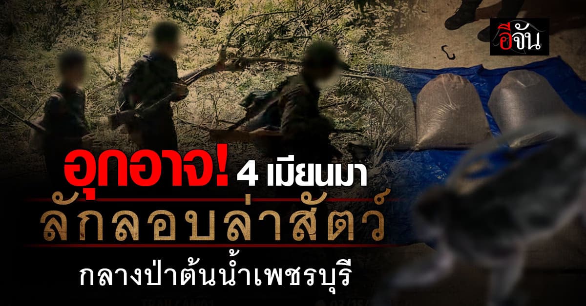 ล่าตัว! กลุ่มเมียนมาอาวุธครบมือ ลักลอบล่าสัตว์ กลางป่าต้นน้ำเพชรบุรี