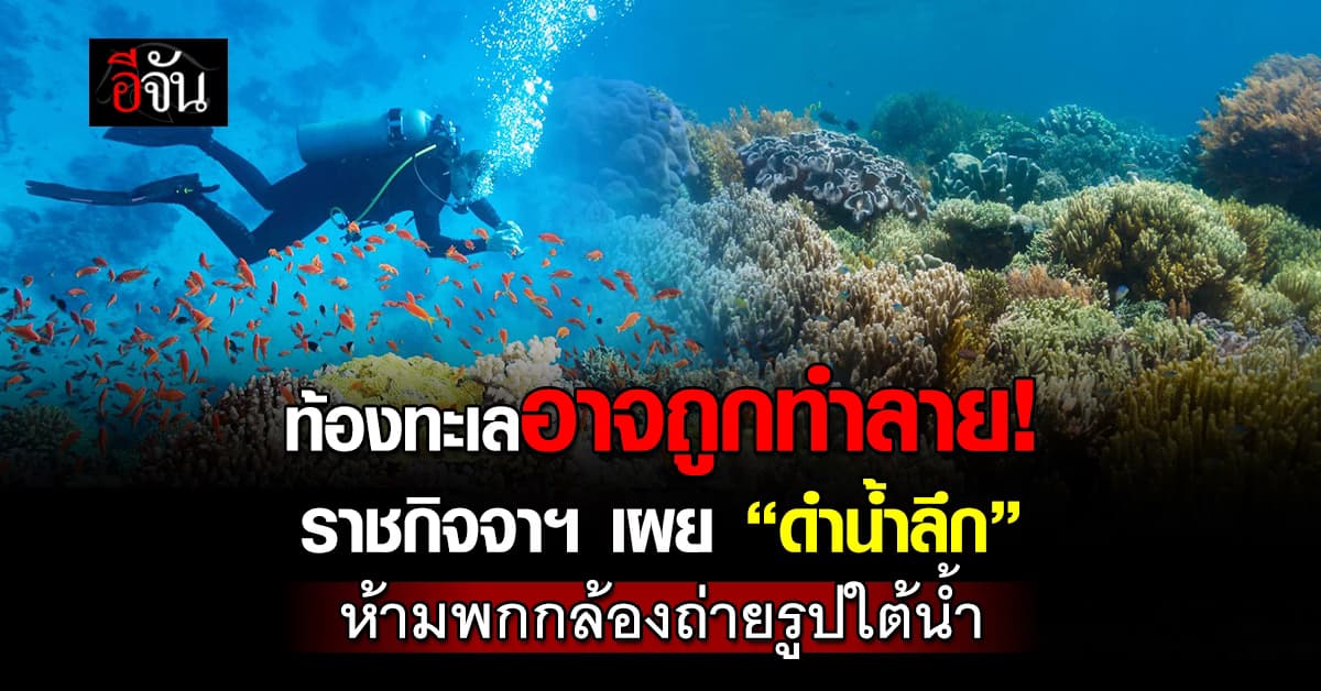 ราชกิจจาฯ ประกาศ “ดำน้ำลึก” ห้ามพกกล้องลงไปถ่ายรูปใต้น้ำ 