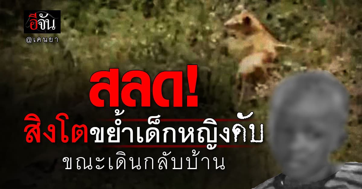 สลด! เด็กเคนยาดวงแตก “ถูกสิงโตขย้ำดับ” ขณะเดินกลับบ้าน