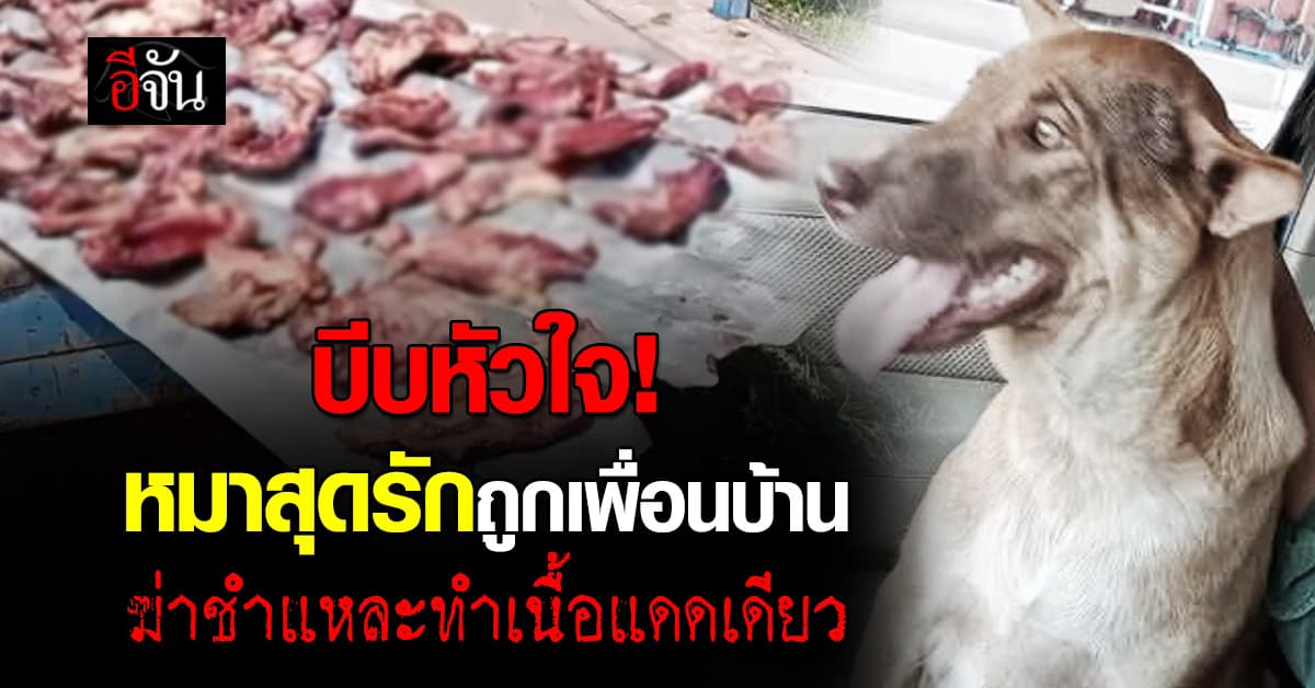 บีบหัวใจ! หมาสุดรักถูกเพื่อนบ้าน ฆ่าชำแหละทำเนื้อแดดเดียว 