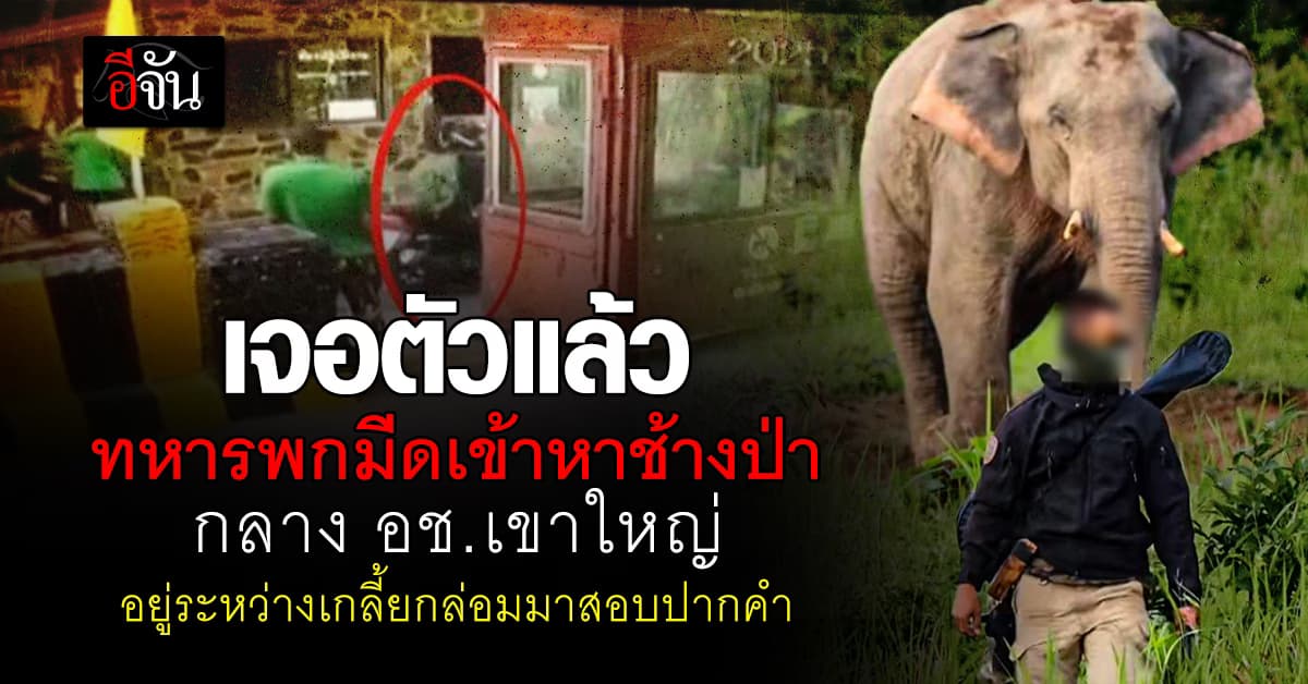 เจอตัวแล้ว! “ทหารถือมีดหาช้างป่า” กลาง อช.เขาใหญ่ อยู่ระหว่างเกลี้ยกล่อมมาสอบปากคำ