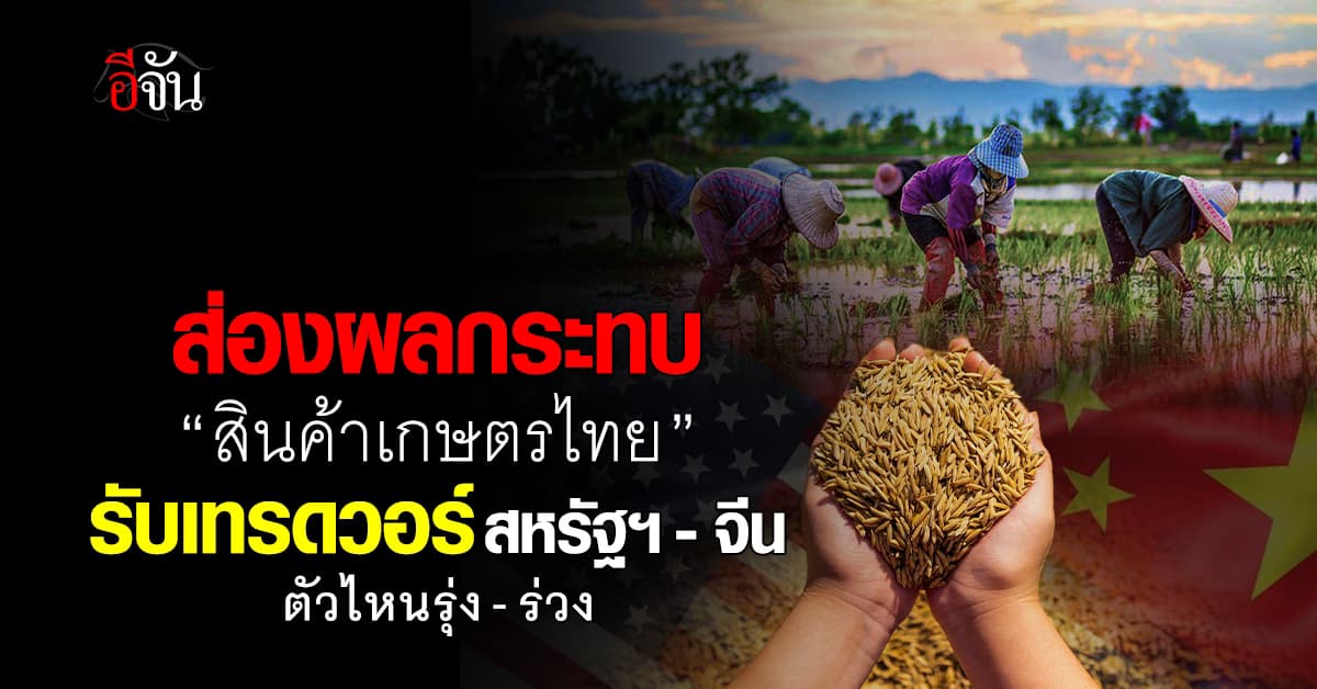 ส่องผลกระทบ “สินค้าเกษตรไทย” รับเทรดวอร์ สหรัฐฯ-จีน