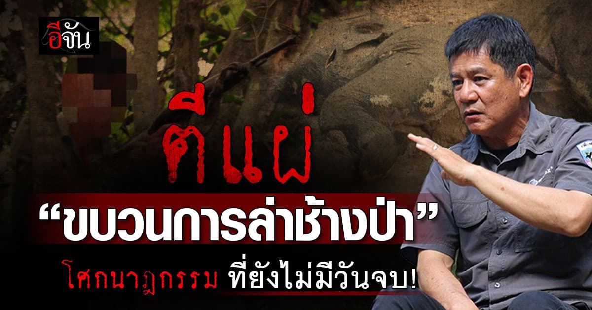 ตีแผ่ “ขบวนการล่าช้างป่า” โศกนาฏกรรมบนผืนป่า เพื่อสนองตัณหาของมนุษย์  