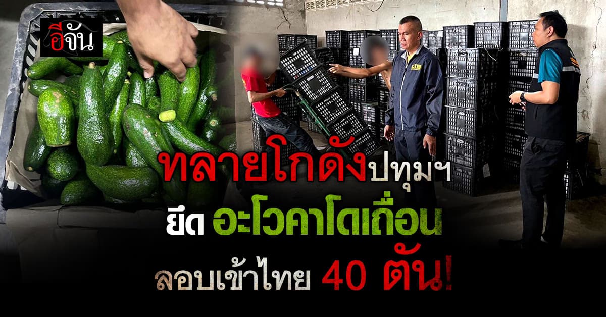 CIB บุกโกดังปทุมฯ ยึด “อะโวคาโดเถื่อน” ลอบเข้าไทย 40 ตัน!