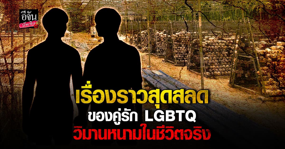 สุดสลด คู่รัก LGBTQ ตั้งใจสร้างคาเฟ่ด้วยกัน สุดท้ายรักไม่สมหวัง