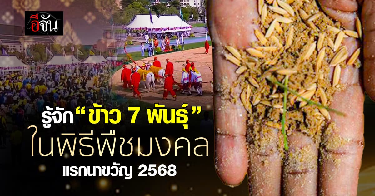 วันพืชมงคลในพิธีแรกนาขวัญ 2568 หว่านข้าว 7 พันธุ์ มีอะไรบ้าง?