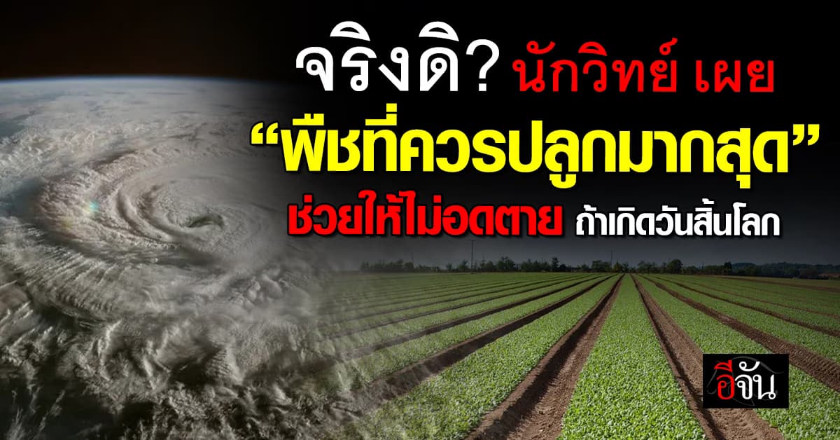 นักวิทย์ เผยงานวิจัย พืชที่ควรปลูกมากสุด ช่วยให้ไม่อดตาย ถ้าเกิดวันสิ้นโลก? 