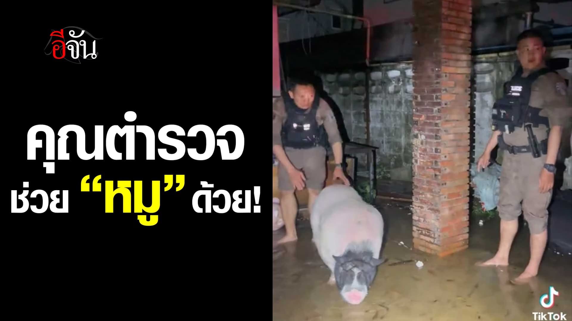 🎬 เมื่อประชาชน ขอความช่วยเหลือ คุณตำรวจช่วย “หมู” ด้วย!