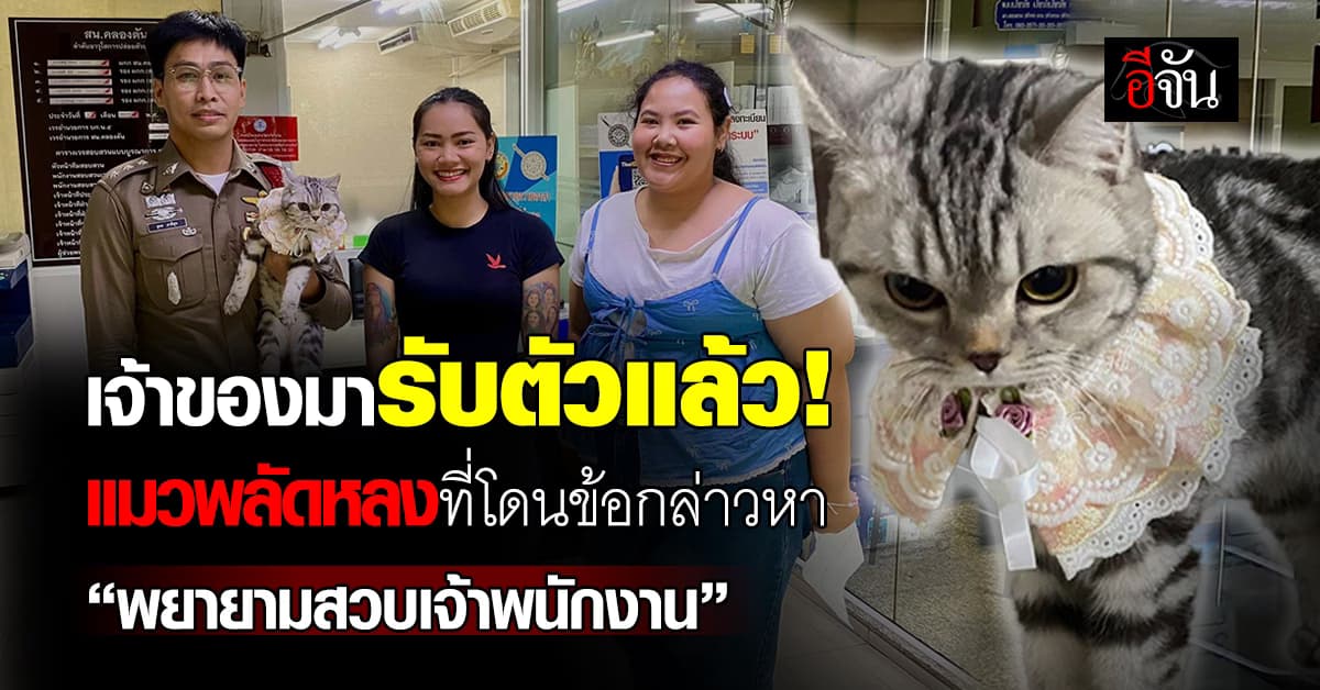 เจ้าของมารับตัวแล้ว! น้องแมวพลัดหลง ที่ สน.คลองตัน ก่อนโดนข้อกล่าวหา “พยายามสวบเจ้าพนักงาน”