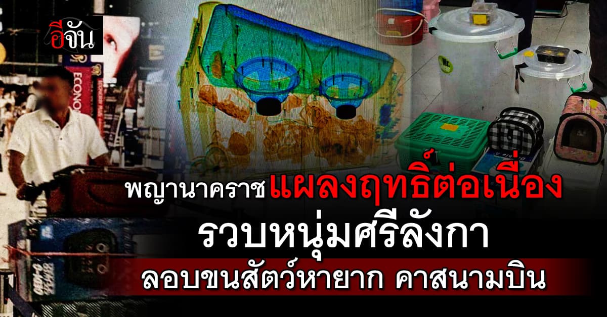 “พญานาคราช” รวบ หนุ่มศรีลังกา ลอบขน สัตว์น้ำเถื่อน คาสนามบิน