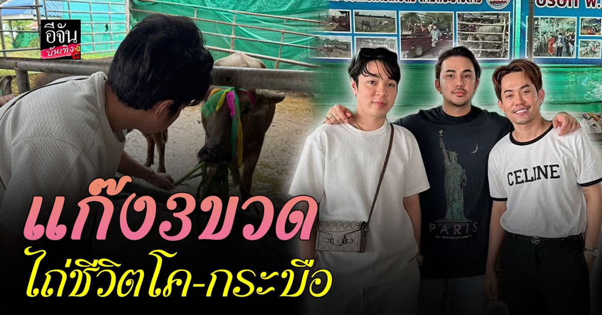 ลิเกสุดหล่อ บาส อาทิตย์ , เอส ปราชญา , ปาร์ค อนุกูล พาแฟน ๆ ไถ่ชีวิตโค-กระบือ