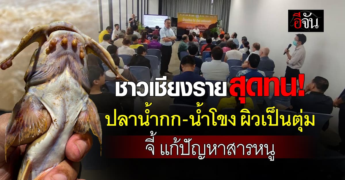 ชาวเชียงราย สุดทน! จี้ สถานทูตจีน-เมียนมา แก้ปัญหาสารหนู หลังปลาน้ำกก-น้ำโขง ผิวเป็นตุ่ม  