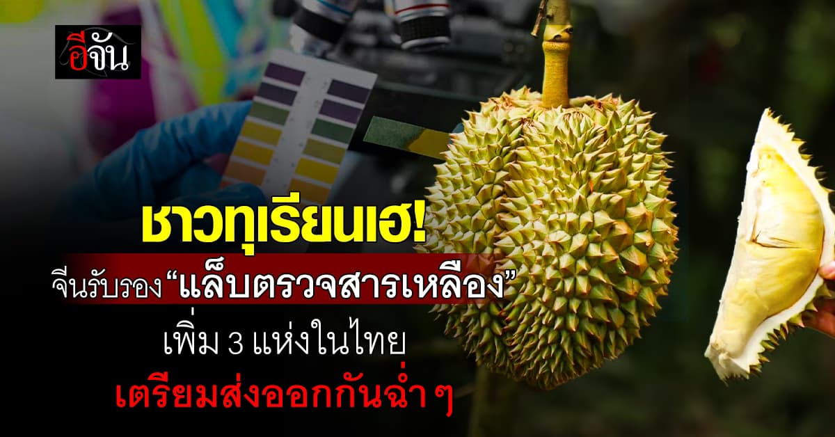 ก.เกษตร เผย จีนรับรอง แล็บตรวจสารเหลืองในทุเรียน เพิ่ม 3 แห่ง