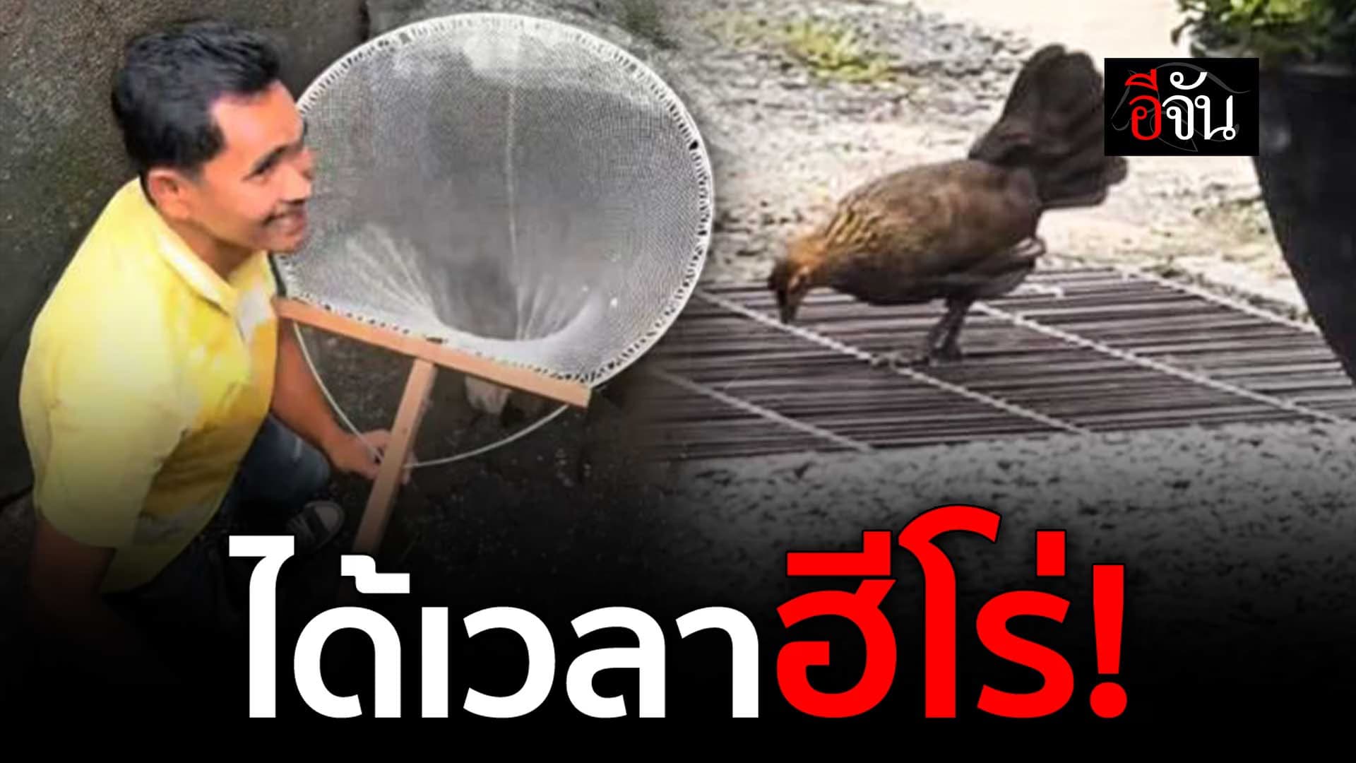 🎬 คลิปโซเชียล พลเมืองดี ช่วยลูกไก่ตกท่อ