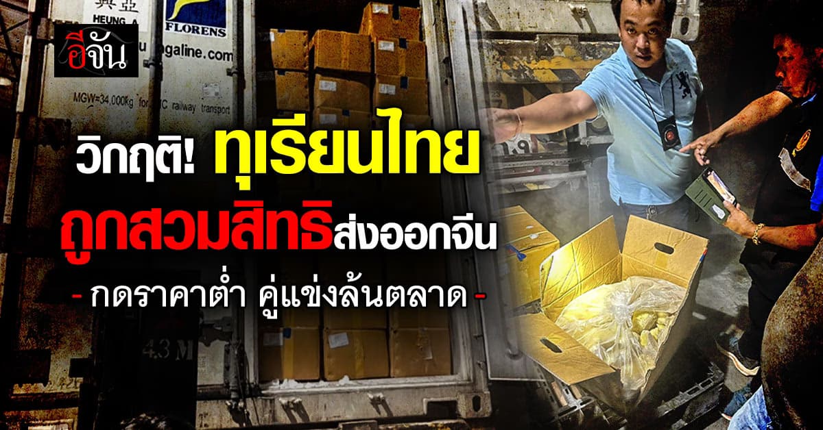 วิกฤติ! “ทุเรียนไทย” ถูกเพื่อนบ้านอ้างสวมสิทธิ ส่งออกจีน