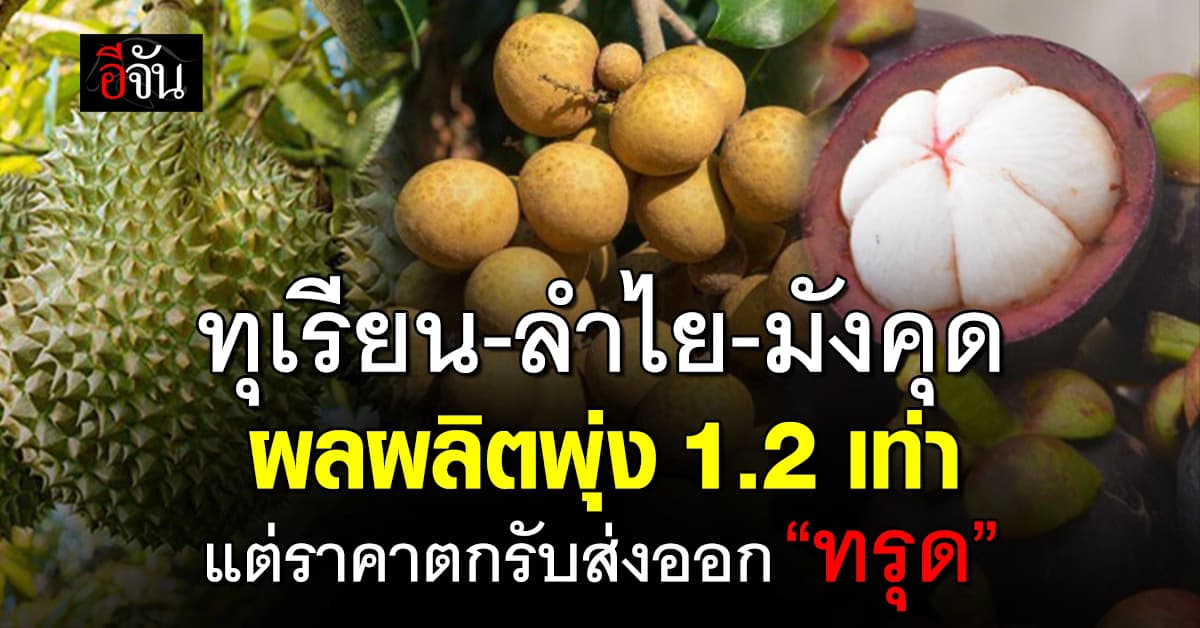 ทุเรียน-ลำไย-มังคุด ผลผลิตพุ่ง 1.2 เท่า กดราคาตก รับส่งออกทรุด
