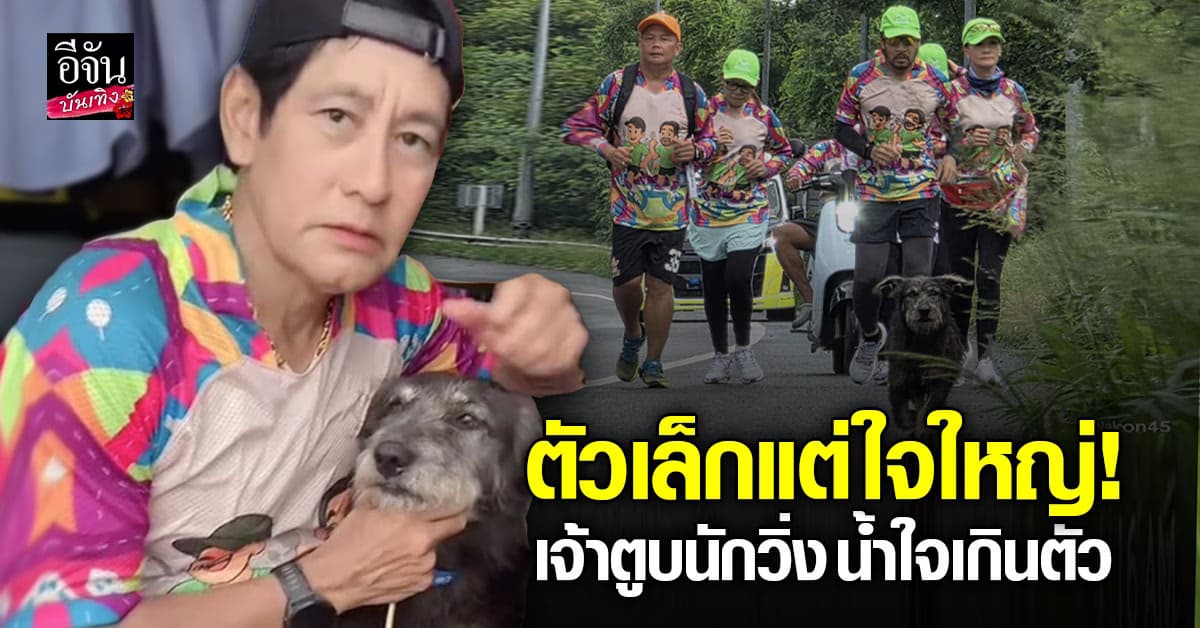สุดยอดหัวใจหมาจร! วิ่งสู้ข้างขบวนไม่ห่าง สู่บ้านหลังใหม่ที่อบอุ่น