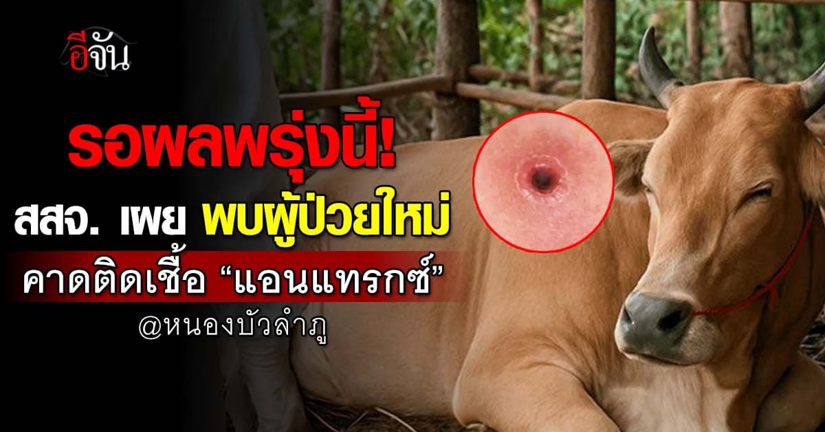 สสจ.เผย! พบผู้ป่วยใหม่มีตุ่มขึ้นที่ร่างกาย คาดอาจติดเชื้อ “แอนแทรกซ์”  